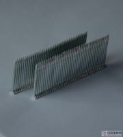 金祖鋼排釘、金祖汽排釘、金祖碼釘