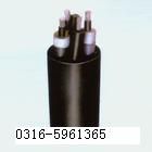 &nbsp;MCPTJ采煤機(jī)金屬屏蔽監(jiān)視型橡套軟電纜