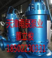 天津雨辰泵業(yè)大流量高揚程不銹鋼潛水泵廠家