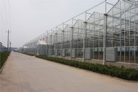 溫室陽(yáng)光板8mm、10mm陽(yáng)光板價(jià)格