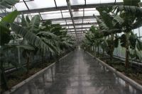 溫室陽(yáng)光板8mm、10mm陽(yáng)光板價(jià)格湖藍(lán)